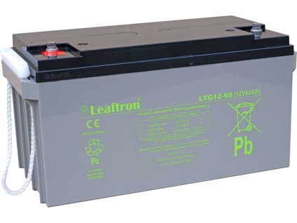 LTG12 65 1000