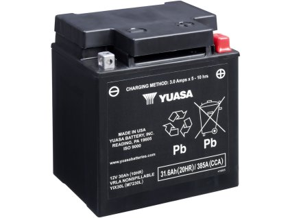 YIX30L RGB 1000