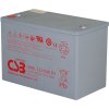 XHRL 12410W FR 12V 410W 3