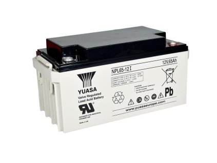 NPL65 12I