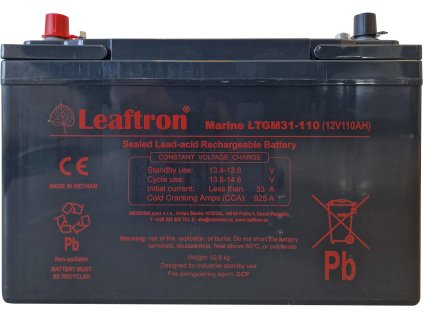LTGM31 110 front orez