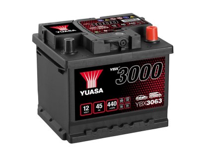 YBX3063