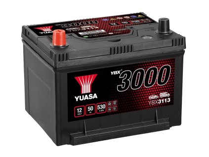 YBX3113