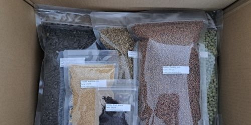 Balení a expedice semínek