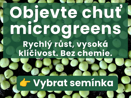 Objevte chuť microgreens
