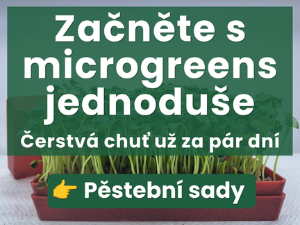 Začněte s microgreens jednoduše