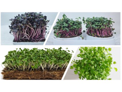 pestebni sada microgreens zepredu set pokrocily