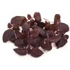 Shiso Red Perilla microgreens