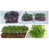 pestebni sada microgreens zepredu set pokrocily
