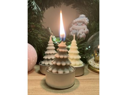 Stromeček - čajovka