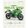 ninja 650