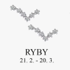 RYBY