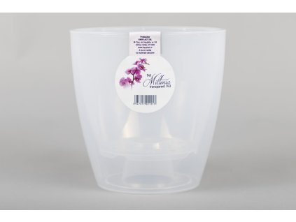 Átlátszó orchidea kaspó Miltonia 1,58 literes kivitelben