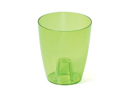 Miltonia orchidea kaspó zöld színben, beltéri használatra