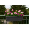 Virágláda alátéttel beltéri és kültéri használatra virrággal