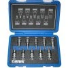 Sada zástrčných hlavic TORX 10 dílná NAREX 3