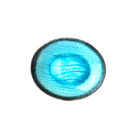 C5088.front 1080px