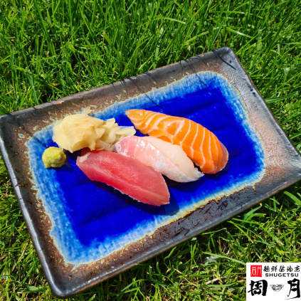 Sushi Plate, COBALT BLUE, 21 x 13 cm