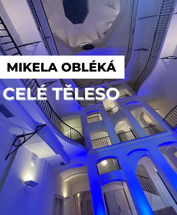 Karel drogy nebere. On si šetří hlas.