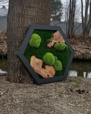 Hexagonový obrázek 💚. Černě mořené smrkové dřevo, španělská oliva a dva druhy mechu v harmonii. Minimalismus s dotekem...