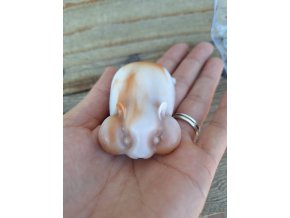 Squishy křeček