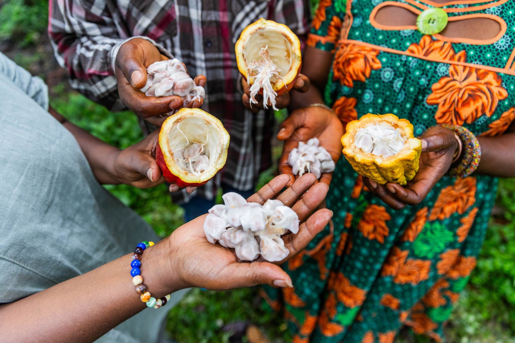 Sladký příchod podzimu ve znamení čokolády