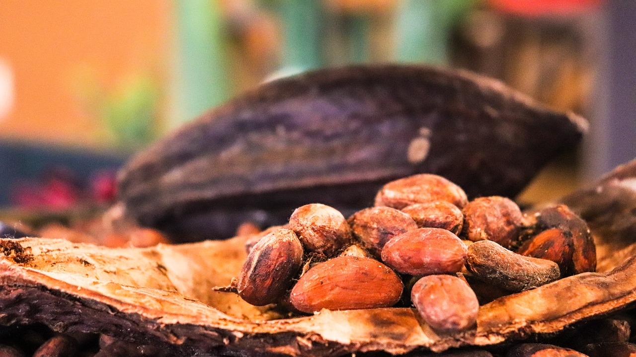 cacao-3995995_1280