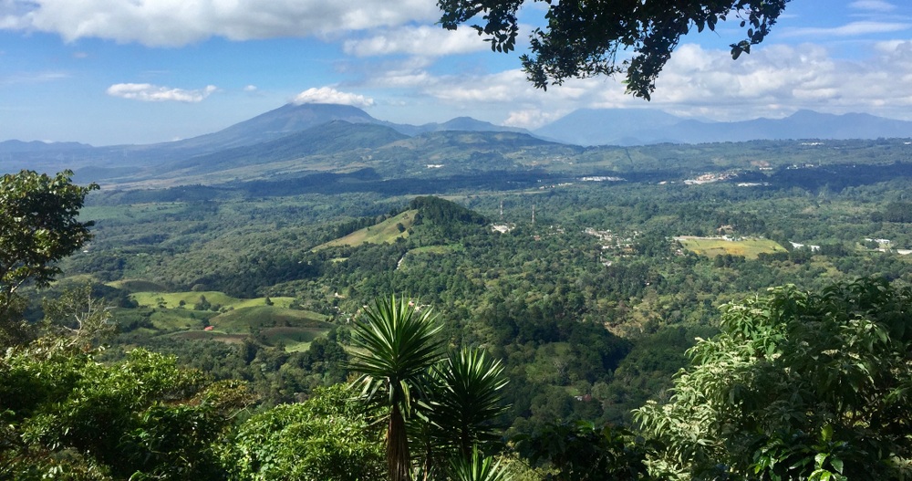 Guatemala kávové plantáže