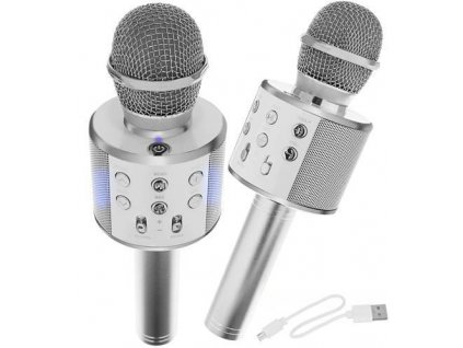 Karaoke mikrofon WS-858 / Izoxis 22188 SILVER