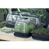 Sadbovač RESPANA TABLE GREENHOUSE antracit 25,7cm