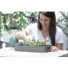 Sadbovač RESPANA TABLE GREENHOUSE antracit 39,1cm