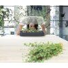 Sadbovač RESPANA TABLE GREENHOUSE antracit 39,1cm