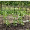 Síť na okurky s konstrukcí Strend Pro, 1,8x1,8 m