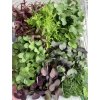 Garden mix mikrobylinek