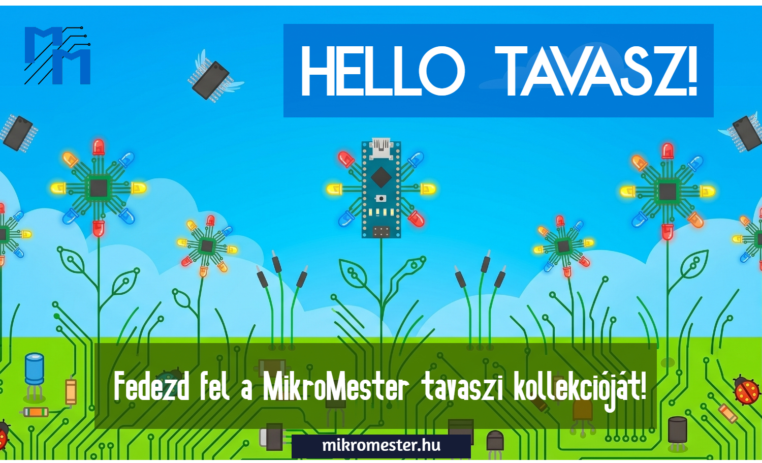 HELLO Tavasz