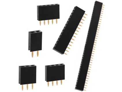 pines11111111111