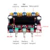 XH M139 D osztályú erősítő modul TPA3116D2 250W+100W (2)