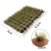 grass