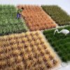 grass2