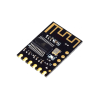 Audio Receiver Module2