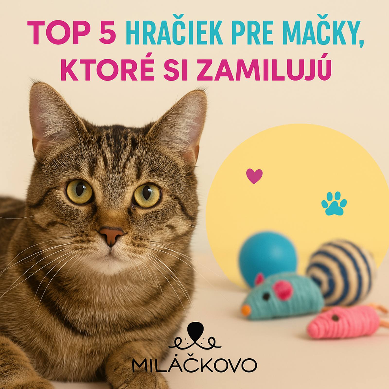 TOP 5 hračiek pre mačky, ktoré si zamilujú