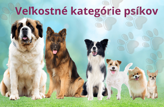 Veľkostné kategórie psov