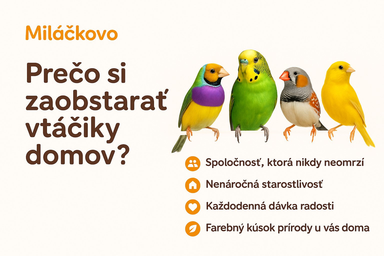 Prečo si domov zaobstarať Vtáčiky???