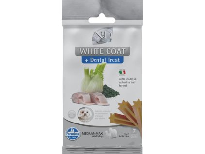 OBC025731 1742381375