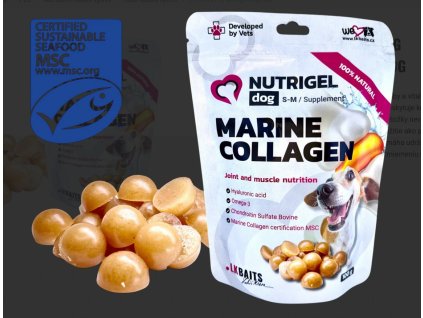 LK Baits Pet Nutrigel Dog Marine Collagen S M, 100g