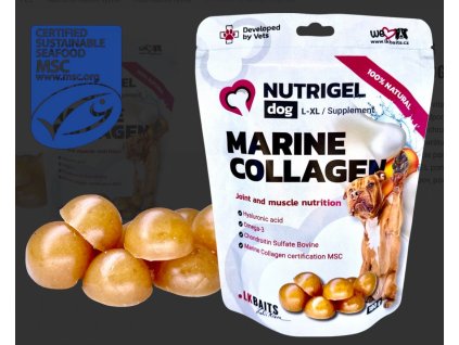 LK Baits Pet Nutrigel Dog Marine Collagen L XL, 180g