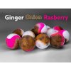 LK Baits POP Smoothie Ginger / Onion / Raspberry, 18mm, 14ks