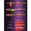 Drennan spojky Elastic Connector - small