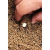 Drennan krmítko Pellet Feeder 30g