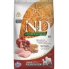 Granule Farmina N&D Dog Senior Medium & Maxi Ancestral Grain Chicken, Spelt, Oats & Pomegranate 12kg